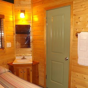 Cabin 11
