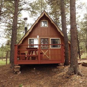 Cabin 7
